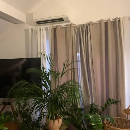 Danka Apartamento